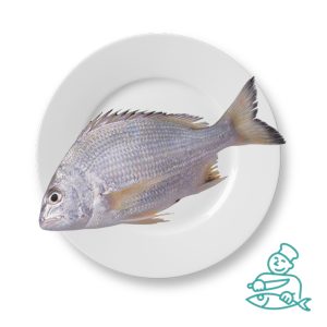 ماهی  سنگسر