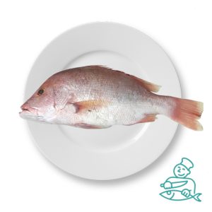 ماهی سرخو محلی