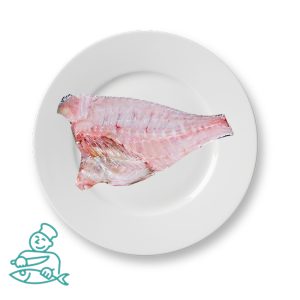 ماهی  شهری یا شعری