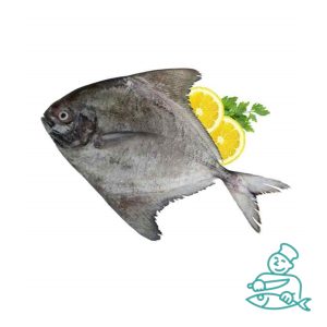 ماهی حلوا سیاه